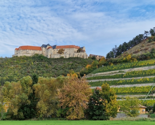 Neuenburg bei Fryburg